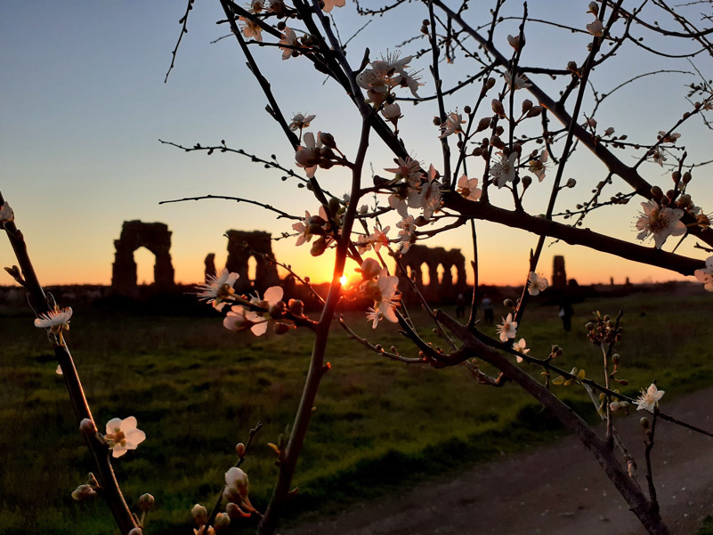 Parco degli acquedotti Roma