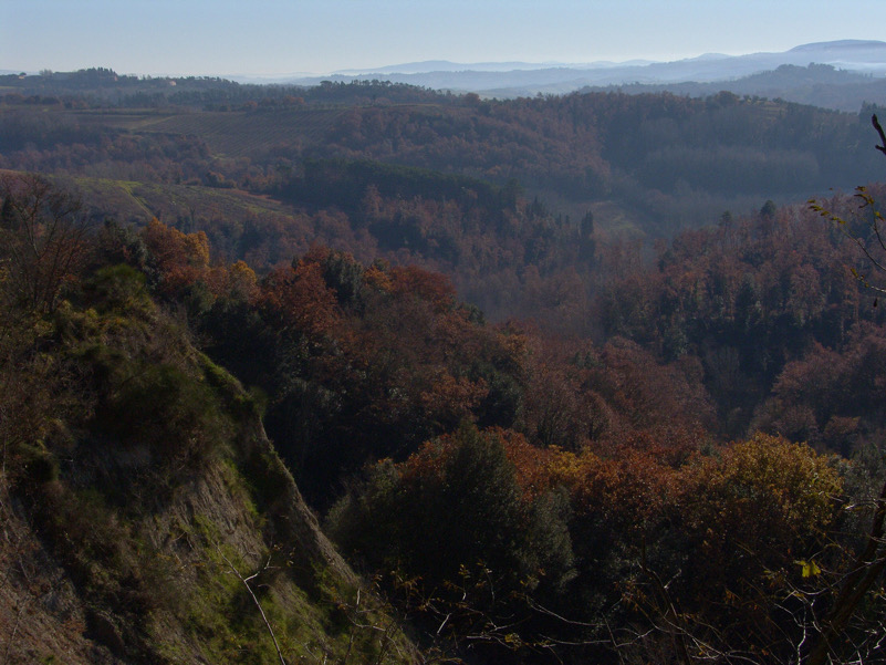 Colline in Val d'Orlo-Corazzano (PI)