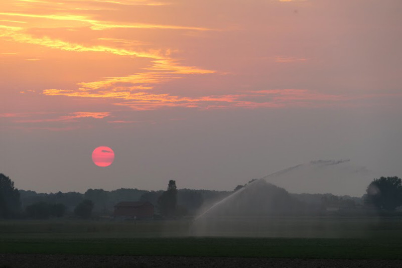 Alba settembrina con irrigazione dei campi