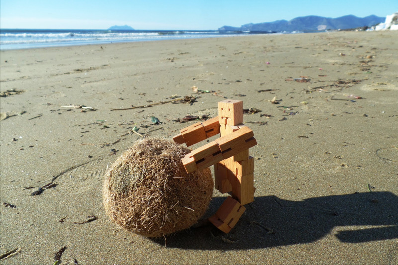 Saving the Poseidonia-spiaggia di Sperlonga