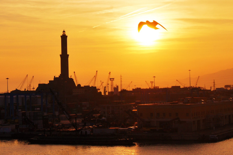 In volo sul porto