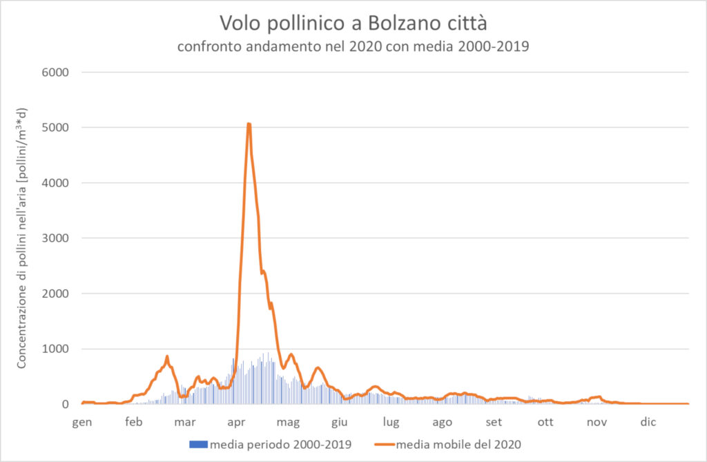Grafico con l'andamento delle concentrazioni polliniche nel 2020 vs. periodo ventennale precedente