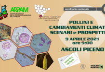 Pollini e cambiamenti climatici