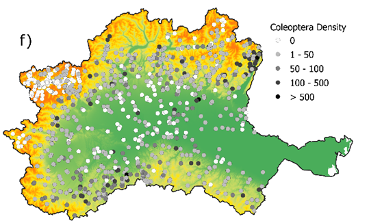 Densità coleotteri
