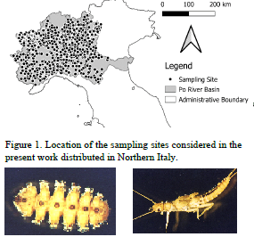 macroinvertebrati bentonici e loro distribuzione nel Distretto idrografico del Bacino del fiume Po