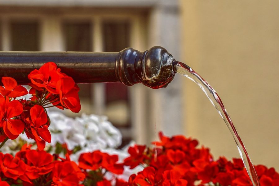 Acqua destinata a consumo umano