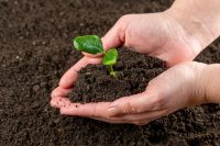 “Strategia europea del Suolo per il 2030”