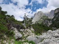 Colate detritiche. Online nuovo sistema di monitoraggio di Arpa Veneto