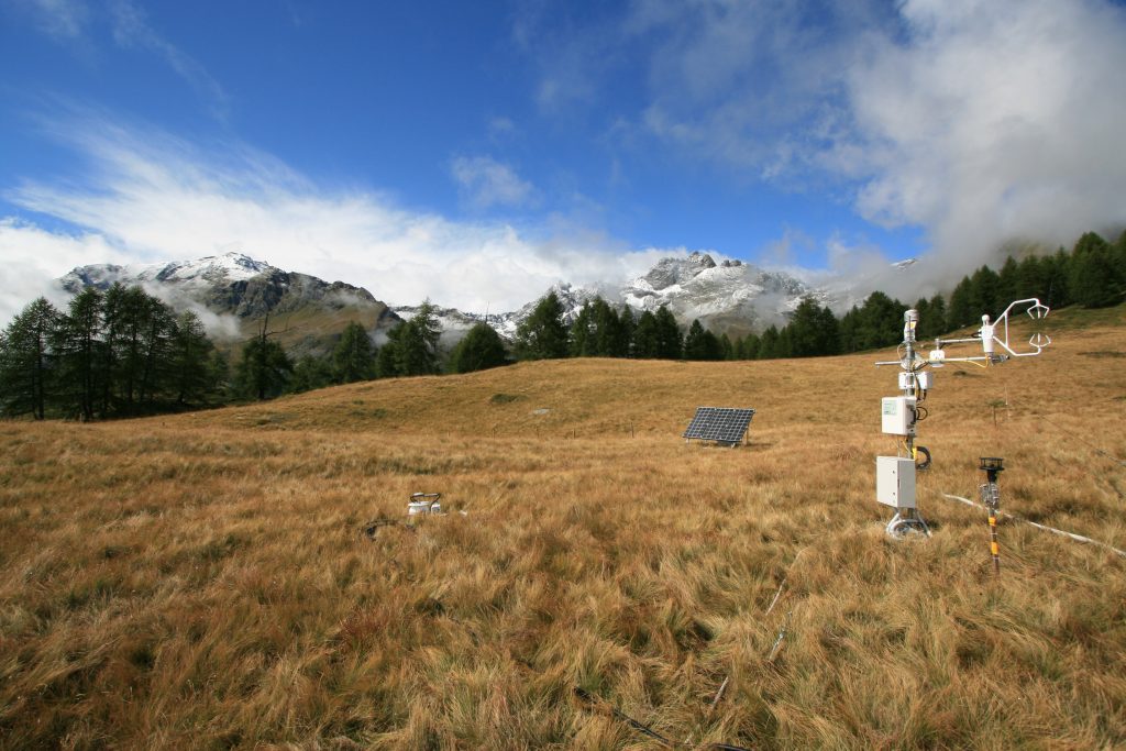 Sito di Sito di monitoraggio dell'assorbimento di CO2 - Torgnon, Valle d'Aosta