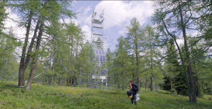 Sito di ricerca forestale di ARPA Valle d’Aosta a Torgnon (Copyright: BabyDoc Film)