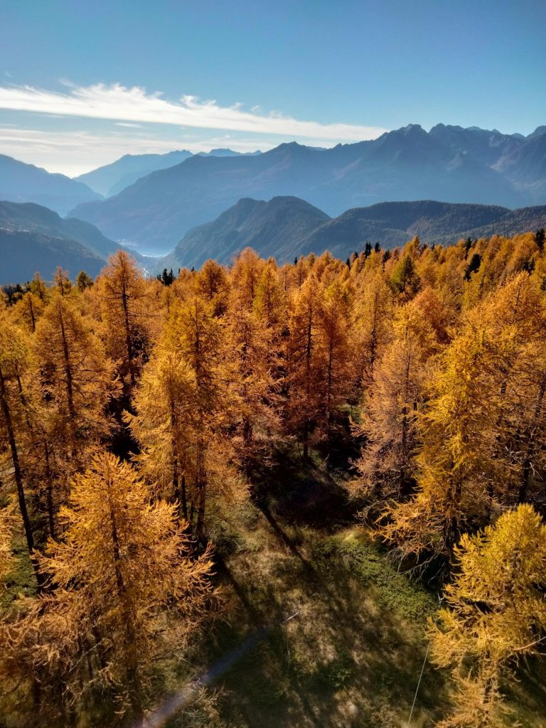 Sito di ricerca forestale di ARPA Valle d’Aosta a Torgnon (Copyright: Marta Galvagno)
