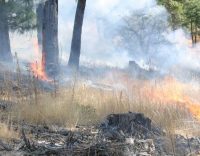 Lombardia, incendi boschivi: chiuso il periodo ad alto rischio