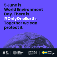 #5giugno, weekend di iniziative a Roma per la Giornata mondiale dell’ambiente