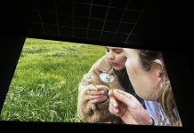 Dettaglio arpavideo Veneto