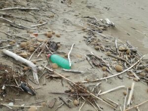 Annuario dati ambientali 2022: i rifiuti rinvenuti sulle spiagge toscane