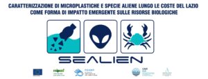 SeAlien: Caratterizzazione di specie aliene e microplastiche lungo le coste del Lazio
