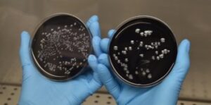 La ricerca della Legionella: un paradigma del modello One Health