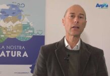 Secondo Barbero
