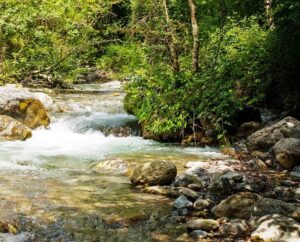 Il valore della tutela dell’acqua: Pubblicato studio Arpacal