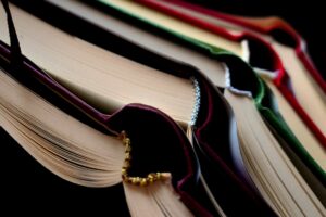 Al via le iscrizioni alla Summer School della Cisafa