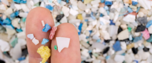 Monitoraggio nell’ambiente delle microplastiche: una giornata di studio