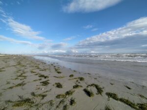 Inizia la stagione balneare 2023: nessuna criticità rilevata da Arpa FVG