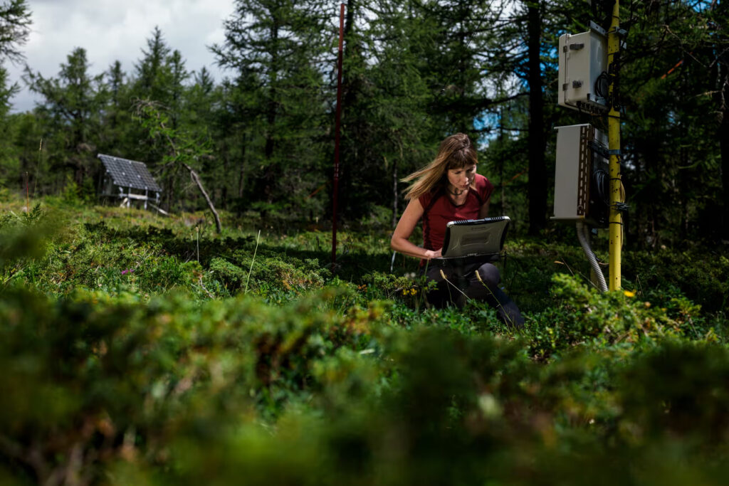 Marta Galvagno al lavoro presso il sito di ricerca di Torgnon - Fotografie: Marco Massa and Haakon Sand/the Guardian