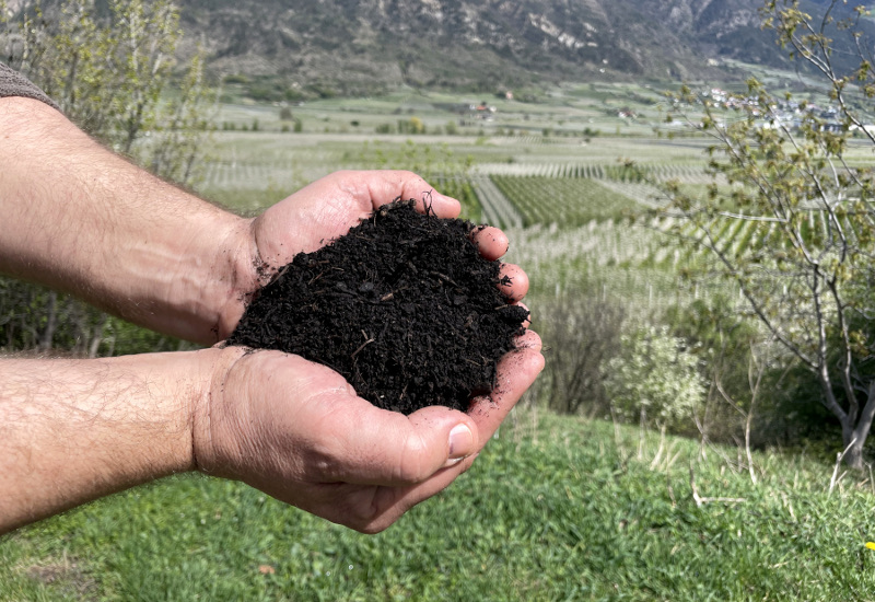 mani che tengono il compost