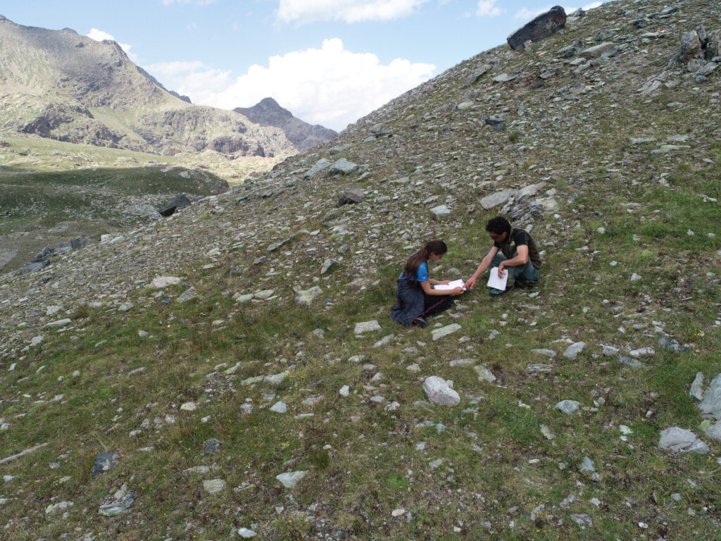 Tecnici impegnati nell'osservazione della vegetazione in alta montagna.
283.135 osservazioni effettuate su 79.190 plots campionati nell'ambito di 449 progetti indipendenti di monitoraggio: numeri e tecniche che consentendo valutazioni sulla dinamica evolutiva degli ambienti indagati.