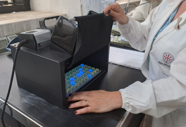Monitoraggio Balneazione