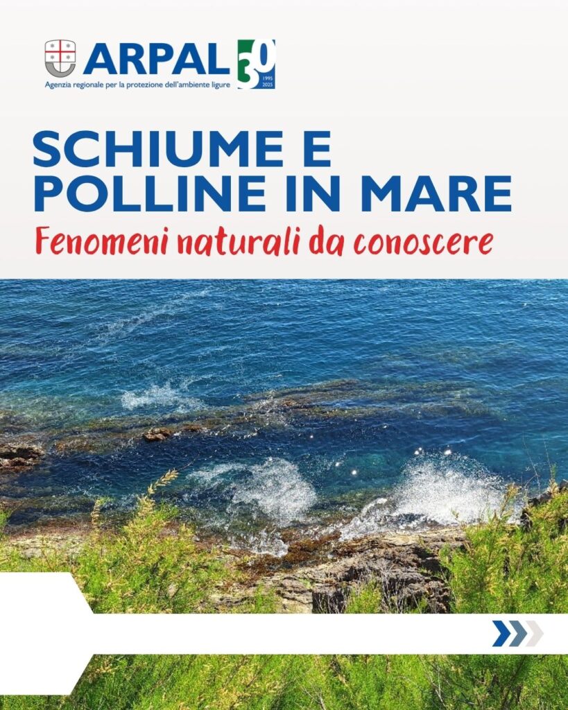 Schiume e polline in mare: fenomeni naturali da conoscere. Una guida per immagini preparata da Arpa Liguria