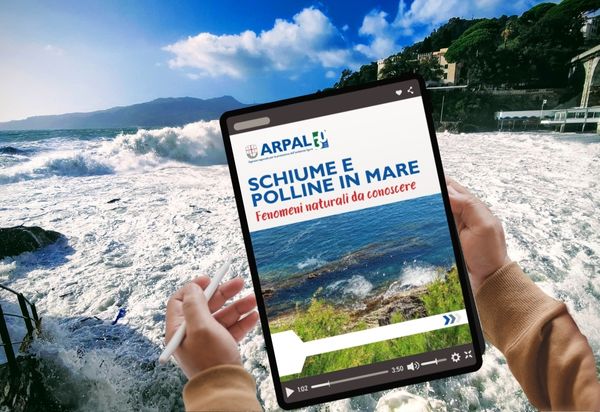 Schiume e polline in mare: una guida di Arpa Liguria