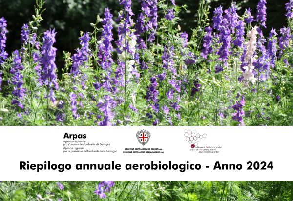 riepilogo annuale aerobiologico 2024